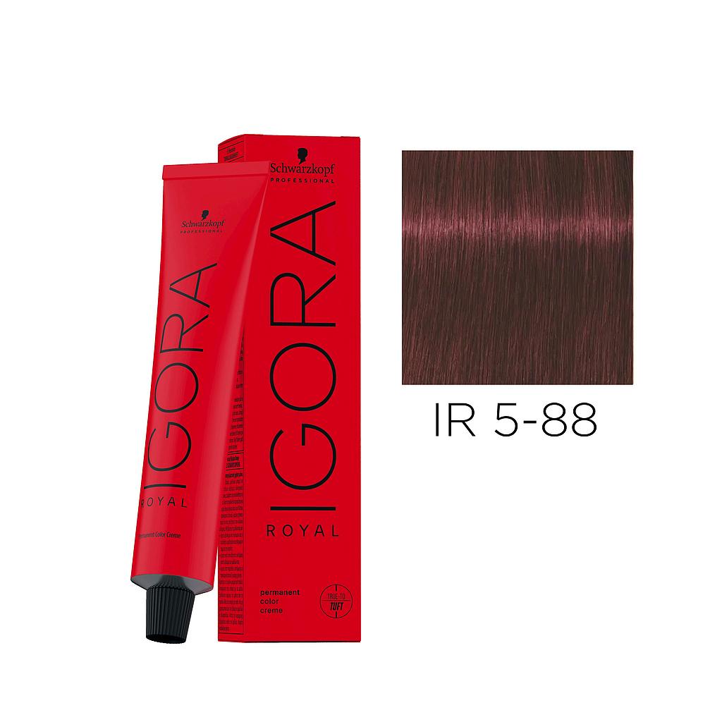 IR.5-88 60ml LIGHT BROWN RED EXTRA