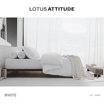 Attitude Bed Sheet Set 5 pcs- Basic White(182 * 198)cm Brand:Lotus
