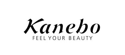 Demo Logo