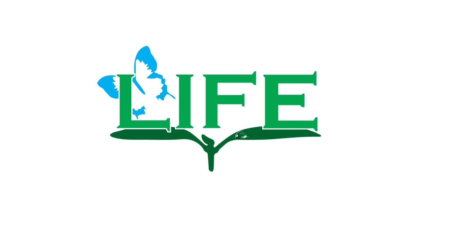 Demo Logo