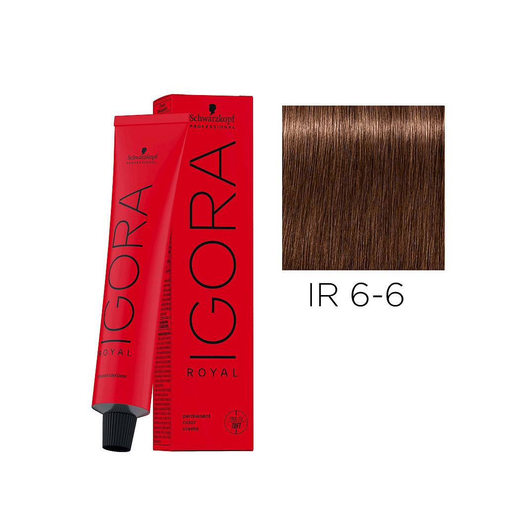 IR.6-6 60ml DARK BLOND CHOCOLATE