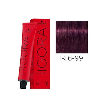 IR. 6-99 60ML DARK BLOND PURPLE EXTRA